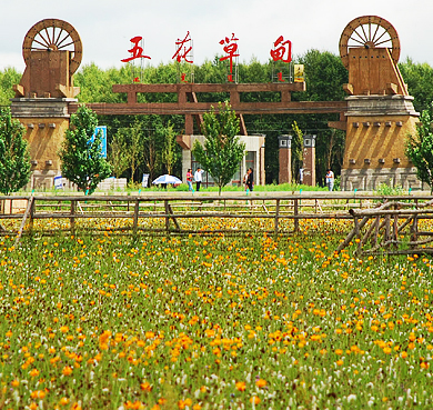 张家口市-沽源县-平定堡镇-五花草甸风景区