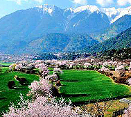 林芝市-巴宜区-布久乡-结麦村