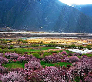 林芝市-巴宜区-布久乡-朵当村