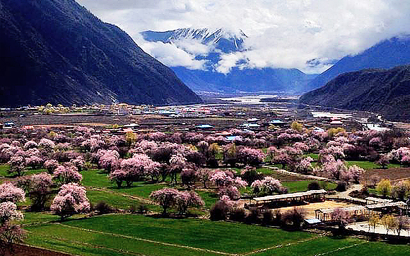 林芝市-巴宜区-林芝镇-嘎拉村（嘎啦桃花村）桃花风景旅游区