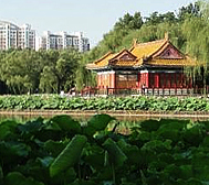 北京市-顺义区-顺义公园