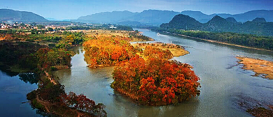 桂林市-七星区-华侨农场|竹江村-漓江·乌桕滩风景区