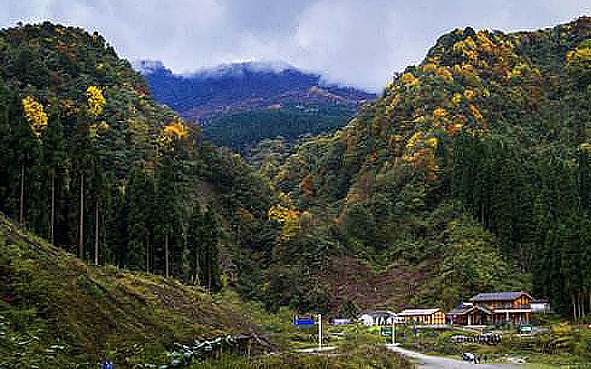 成都市-崇州市-鸡冠山乡-鸡冠山（鸡冠山国家森林公园·鞍子河自然保护区）风景旅游区|4A