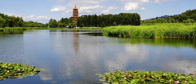 北京市-延庆区-沩水河·东湖公园