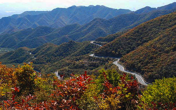 北京市-延庆区-张山营镇-松山国家级自然保护区|4A