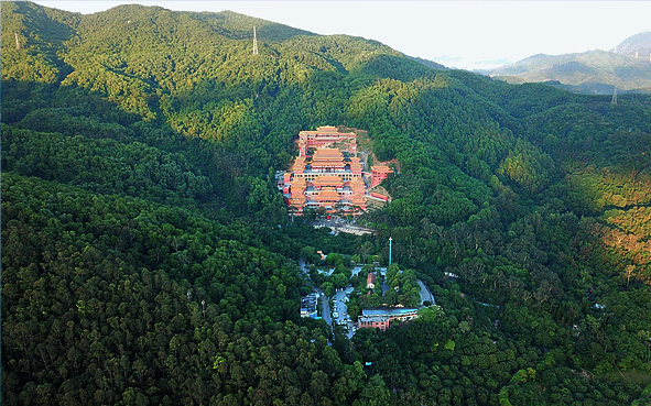 广东省-东莞市-大岭山镇-大岭山（观音寺）森林公园