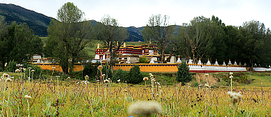 甘孜州-理塘县-甲洼乡-向阳寺