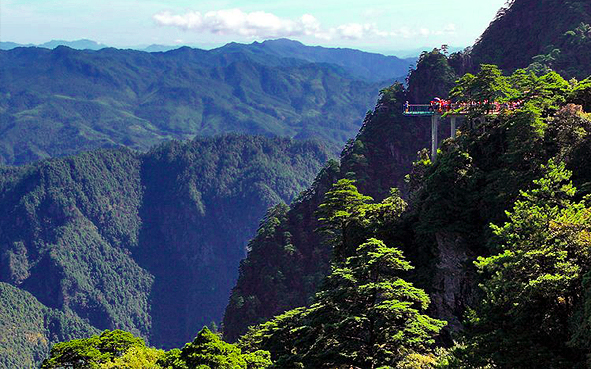 吉安市-井冈山市-井冈山·杜鹃山（笔架山·十里杜鹃长廊）风景旅游区