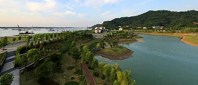 九江市-湖口县-鄱阳湖·洋港湿地公园