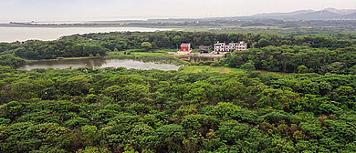 九江市-都昌县-多宝乡-李洞林村·鄱阳湖鸟岛风景区