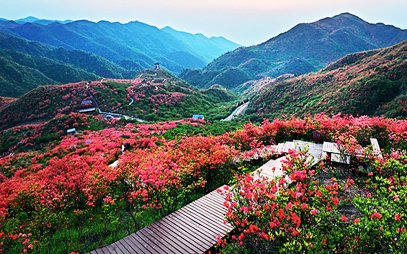 长沙市-浏阳市-大围山（大围山国家森林公园·大围山国家地质公园）风景旅游区|4A