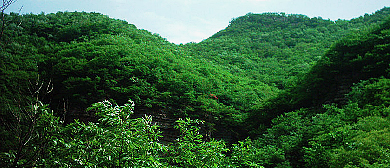 三门峡市-渑池县-仁村乡-五凤山（凤冠顶1206米）风景区