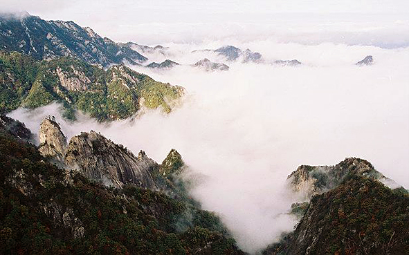 南阳市-南召县-伏牛山·九龙沟（真武顶2102米）风景区