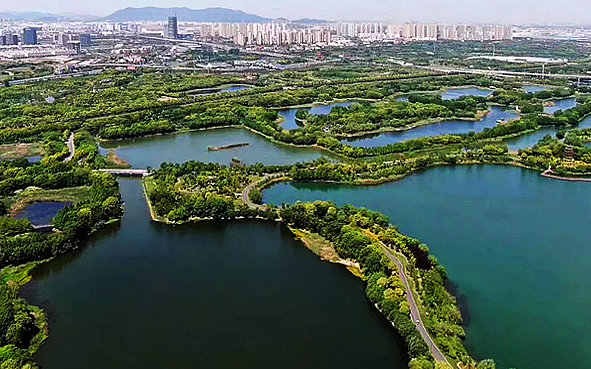 苏州市-虎丘区-苏州太湖国家湿地公园|4A