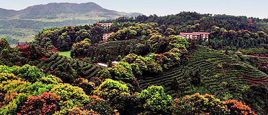 重庆市-江津区-西湖镇-骆崃山风景区