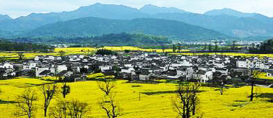 黄山市-黟县-宏村镇-卢村（木雕楼）风景旅游区