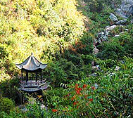 九江市-庐山市-温泉镇-庐山·康王谷（桃花源）风景区