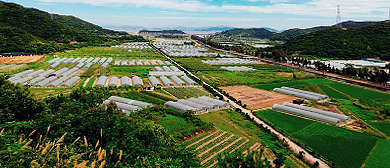 舟山市-普陀区-登步岛（登步岛战役遗址公园）风景区