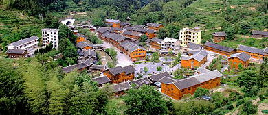 铜仁市-印江县-紫薇镇-团龙村（土家苗家村）·团龙贡茶园（长寿谷）