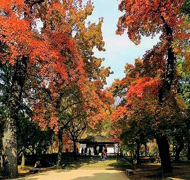 苏州市-吴中区-木渎镇-天平山（枫树节）风景旅游区|4A