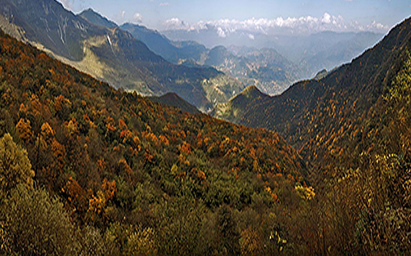 昭通市-巧家县-药山镇-药山国家级自然保护区