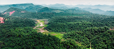 雅安市-雨城区-望鱼乡-海子山森林风景区