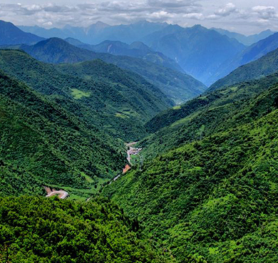 阿坝州-九寨沟县-勿角镇-勿角（大熊猫）自然保护区