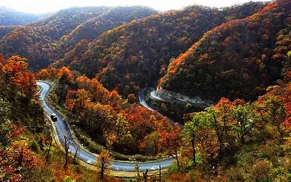 渭南市-韩城市-韩城黄龙山（褐马鸡）国家级自然保护区