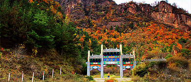 天水市-武山县-城关镇-老君山森林公园