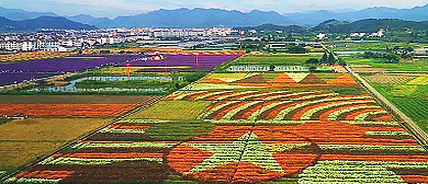 丽水市-缙云县-笕川花海风景旅游区