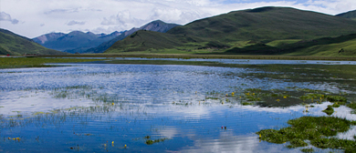 甘孜州-白玉县-麦拉降措湿地自然保护区