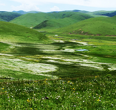 甘孜州-炉霍县-宗塔草原风景区