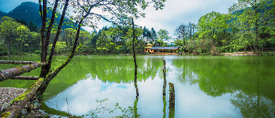 雅安市-天全县-喇叭河镇-银洞海风景区