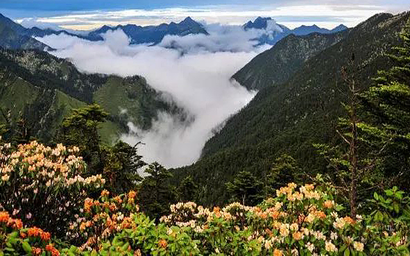 雅安市-芦山县-大川镇-大川河·大雪峰自然保护区 