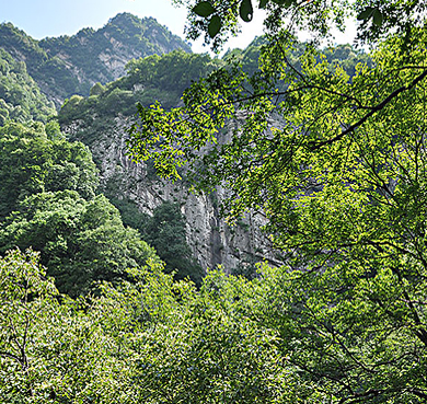 西安市-鄠邑区-太平国家森林公园（秦岭）风景旅游区|4A