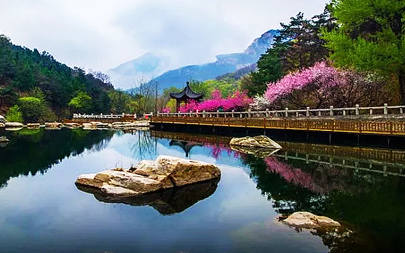 泰安市-岱岳区-泰山·桃花峪（度假村）风景旅游区