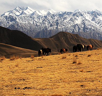 和田地区-洛浦县-阿其克乡-昆仑山·千山河谷风景区