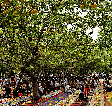喀什地区-英吉沙县-色买提杏园·中国第一大杏园（杏花节·摘杏节）风景旅游区