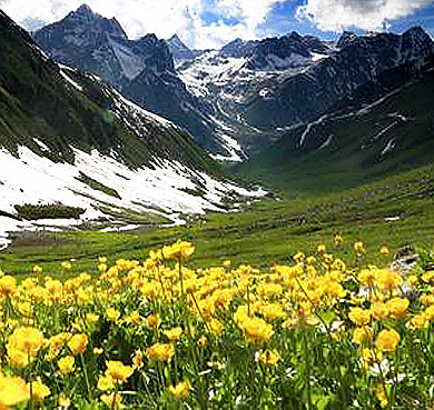 伊犁州-尼勒克县-天山(博罗科努山)·孟克特古道(门克廷达坂·3945米)风景区