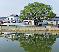 安庆市-潜山市-黄埔镇-望虎村