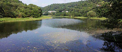 德阳市-旌阳区-八角井街道-齐家堰水库·风景区