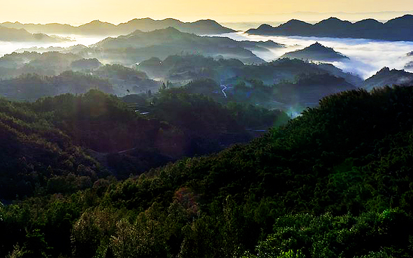 宝鸡市-渭滨区-秦岭·天台山（天台山国家森林公园·天台山国家级风景名胜区）风景旅游区|4A