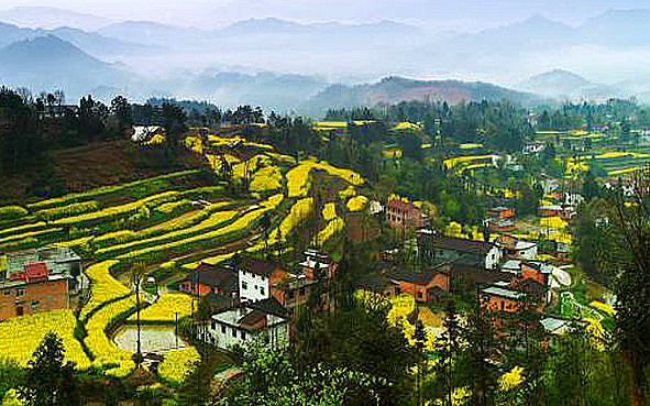 汉中市-南郑区-汉山街道-大汉山（油菜花海）风景旅游区