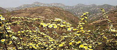 临汾市-襄汾县-古城镇-姑射山·桃花洞（鹿女洞）风景区