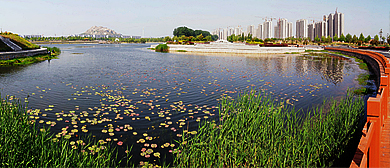 济宁市-邹城市区-唐王河公园·风景区