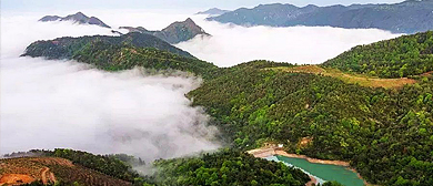 台州市-玉环市-清港镇-大雷头村-大雷山风景区