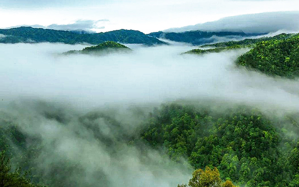 衢州市-开化县-古田山（古田山国家级自然保护区）风景旅游区|4A