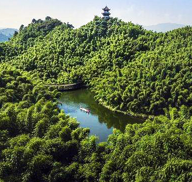 乐山市-沐川县-永福镇-沐川竹海丹霞（沐川国家森林公园）风景旅游区