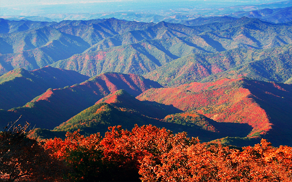 三门峡市-陕州区-崤山·甘山国家森林公园|4A