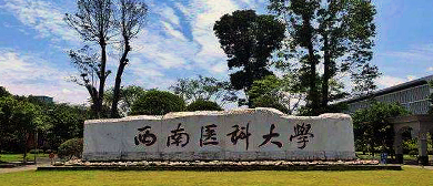 泸州市-龙马潭区-西南医科大学（城北校区）